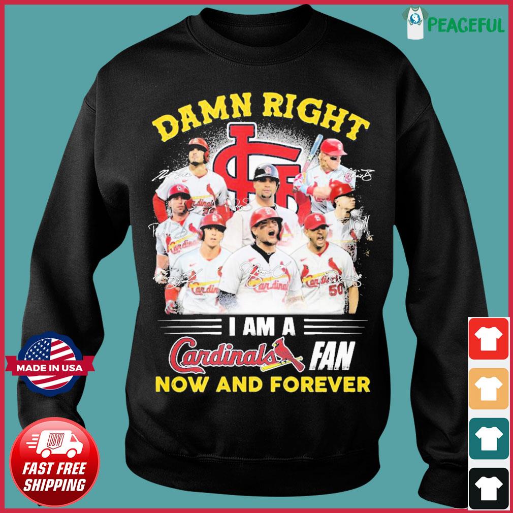 The St Louis Cardinals Damn Right I Am A Cardinals Fan Now And