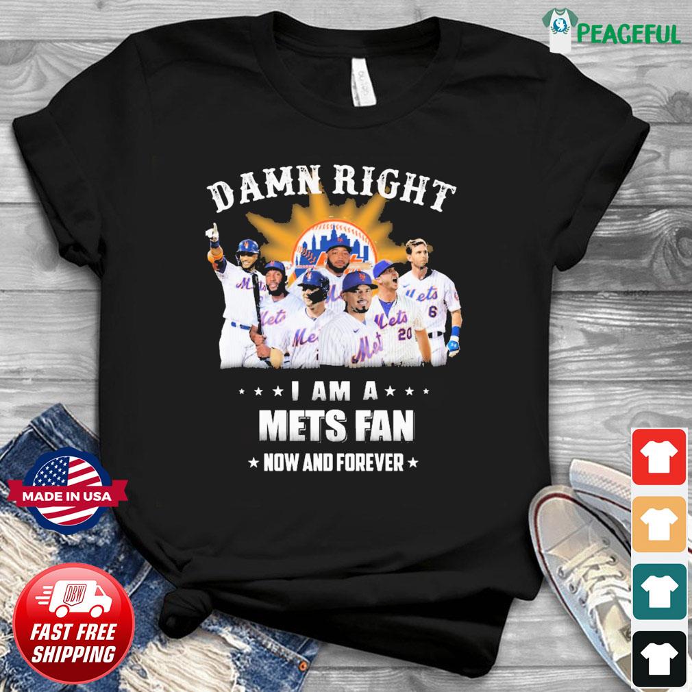 Horny New York Mets shirt, hoodie, sweater, long sleeve and tank top