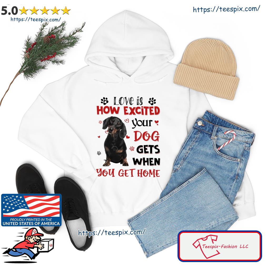 Dachshund Love Is How Excited Your Boston Terrier Dog Gets When You Get Home Shirt hoodie