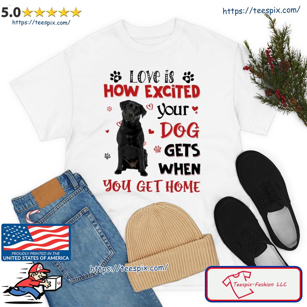 Rottweiler Love Is How Excited Your Boston Terrier Dog Gets When You Get Home Shirt