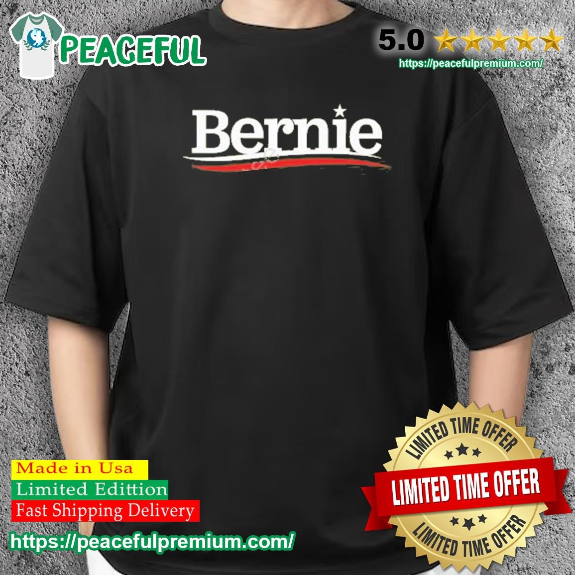 Bernie Shirt