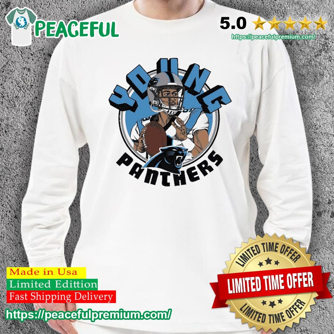 Carolina Panthers 2023 logo T-shirt, hoodie, sweater, long sleeve and tank  top