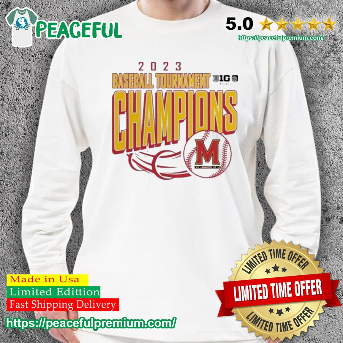 Maryland Terrapins 2023 Big Ten Baseball Conference Tournament Champions Shirt sweater