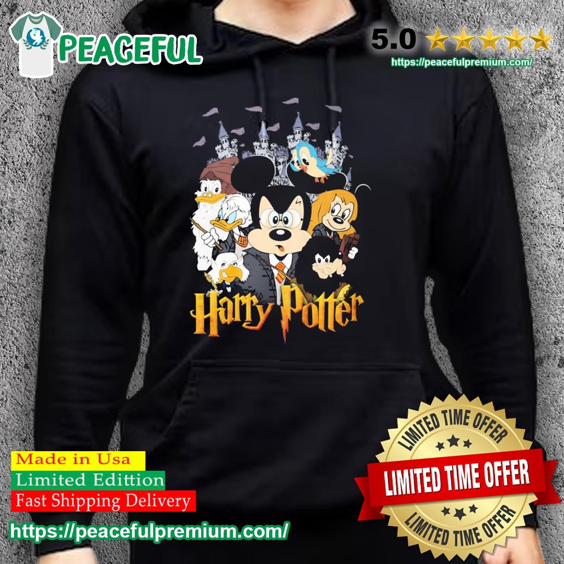 Harry potter 2024 disney hoodie