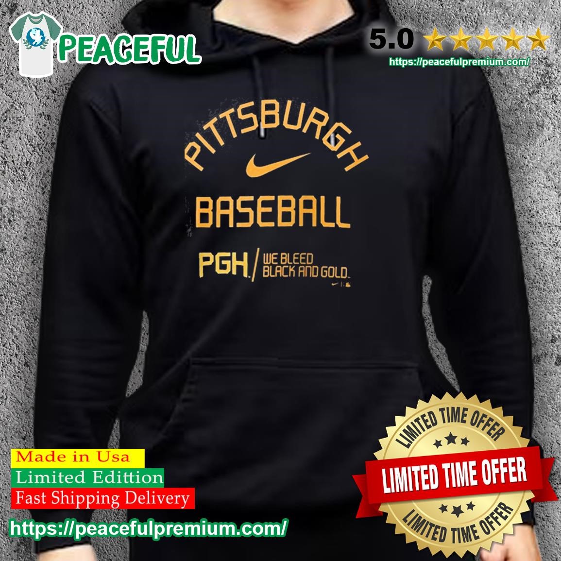 Nike Pittsburgh Pirates We are Family t-shirt