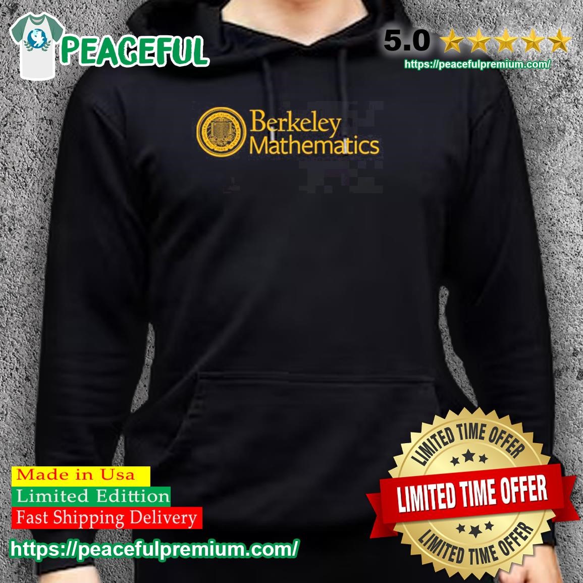 Berkeley hotsell mathematics hoodie