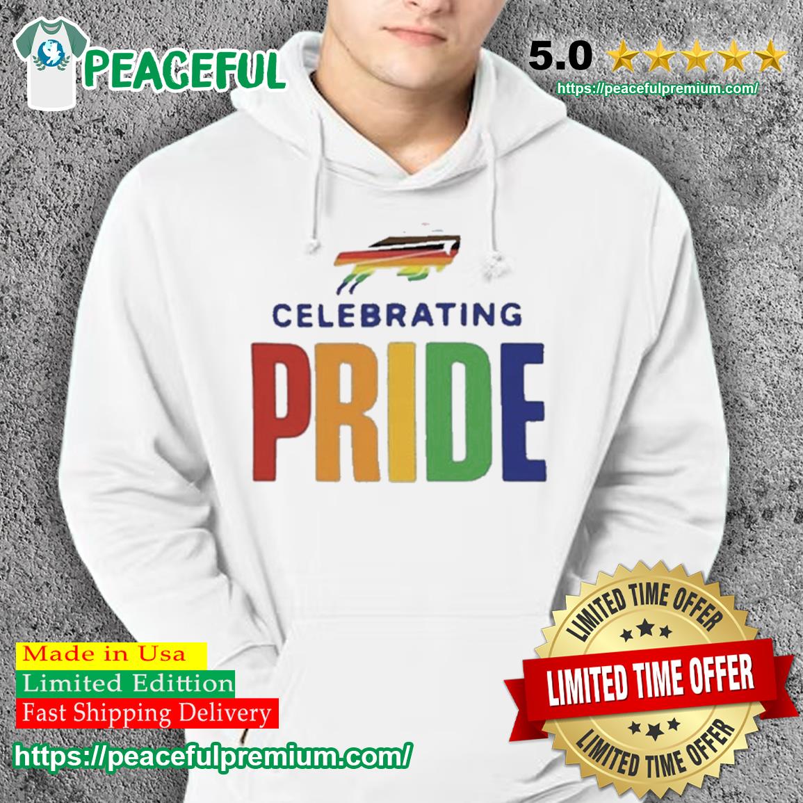 Buffalo Bills Pride Month Hoodie - Zerelam