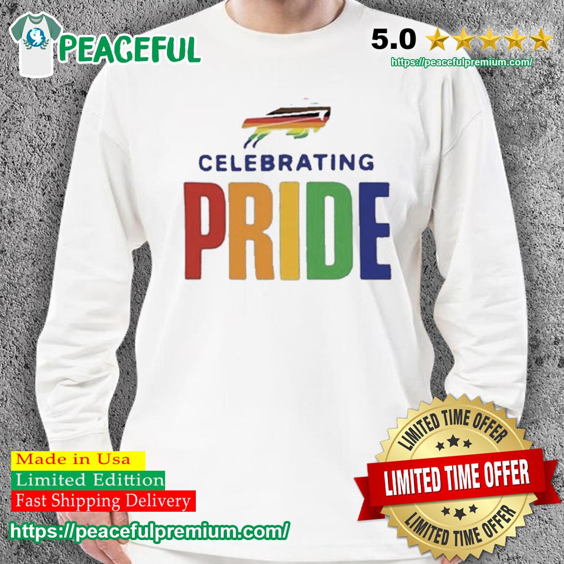 Buffalo Bills Pride Month Hoodie - Zerelam