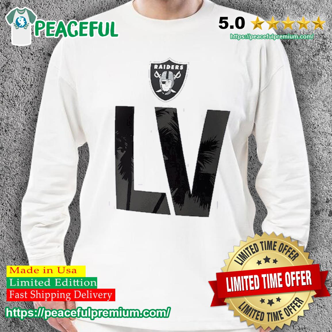 Las Vegas Raiders 2023 logo T-shirt, hoodie, sweater, long sleeve and tank  top