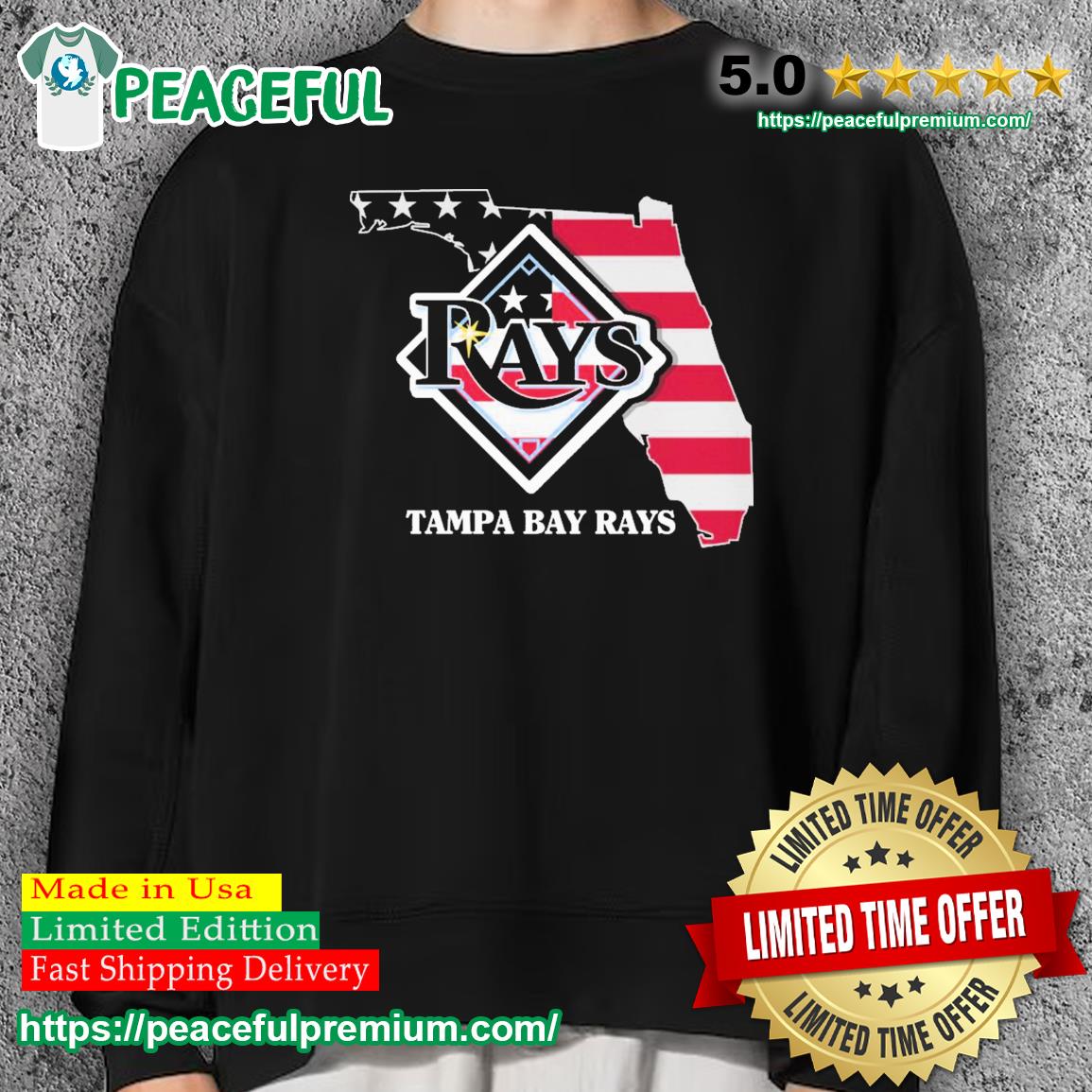 Tampa Bay Rays Logo Local Team Skyline T-shirt,Sweater, Hoodie, And Long  Sleeved, Ladies, Tank Top
