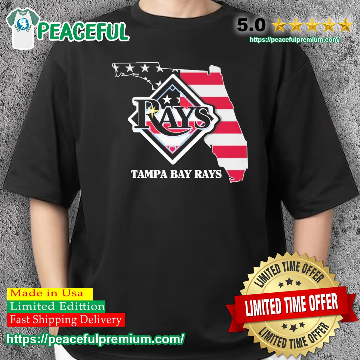 Tampa Bay Rays Logo Florida State Flag Shirt, hoodie, sweater, long sleeve  and tank top