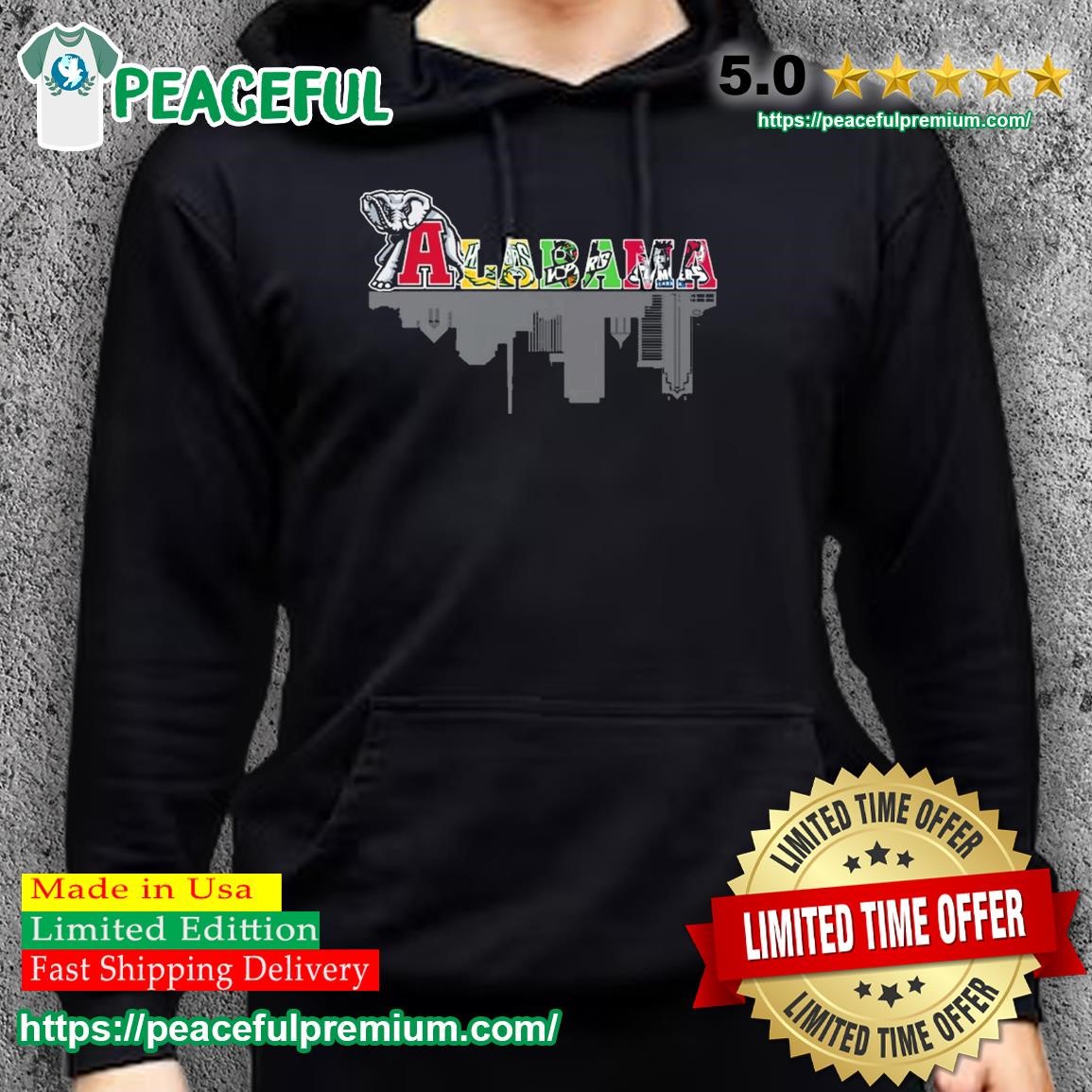 Alabama Skyline Sports Teams Logo Shirt hoodie.jpg