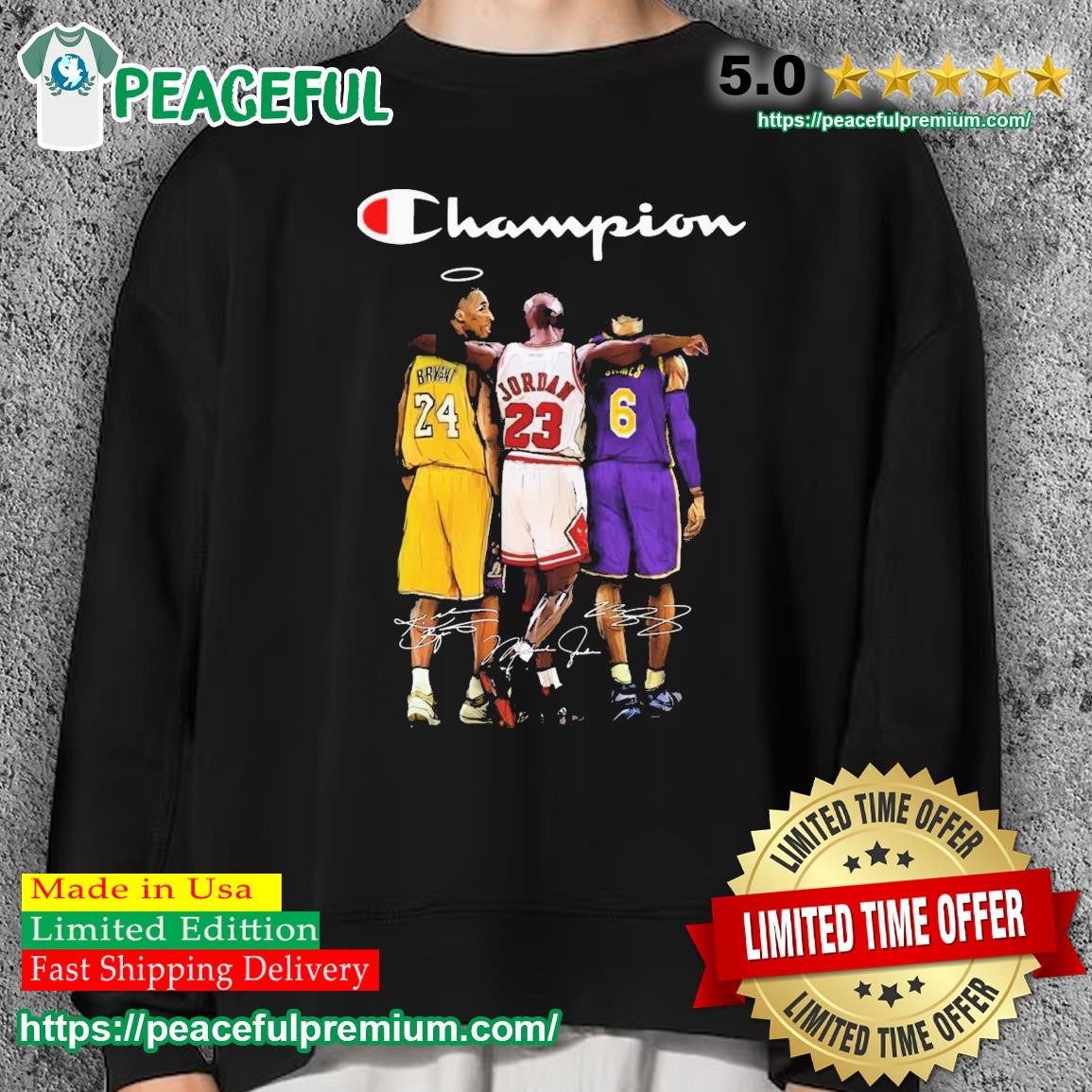 Bryant james jordan champion hoodie hot sale