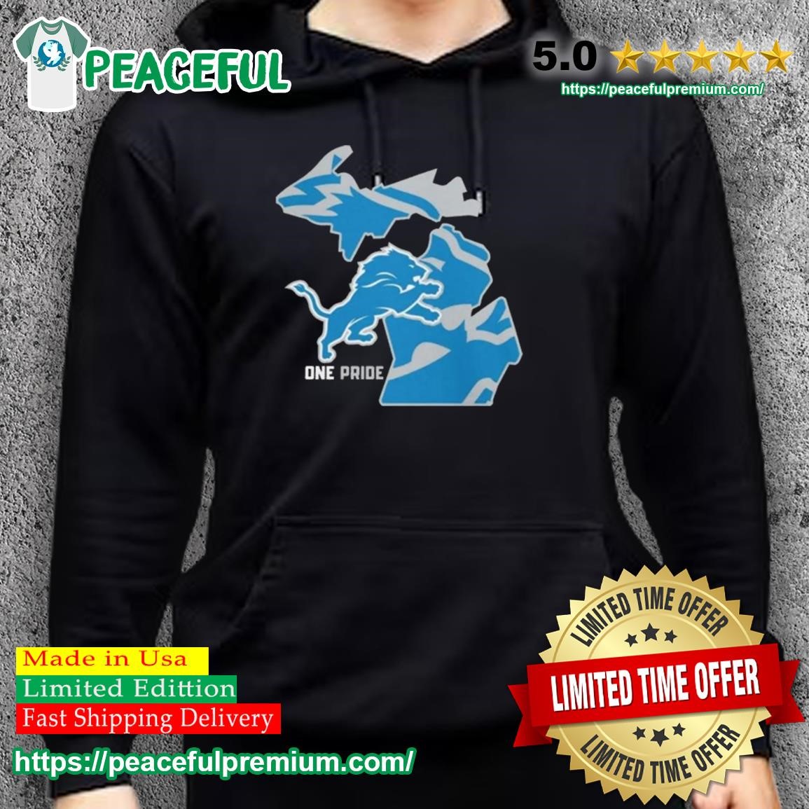 Detroit lions one pride local essential shirt, hoodie, longsleeve