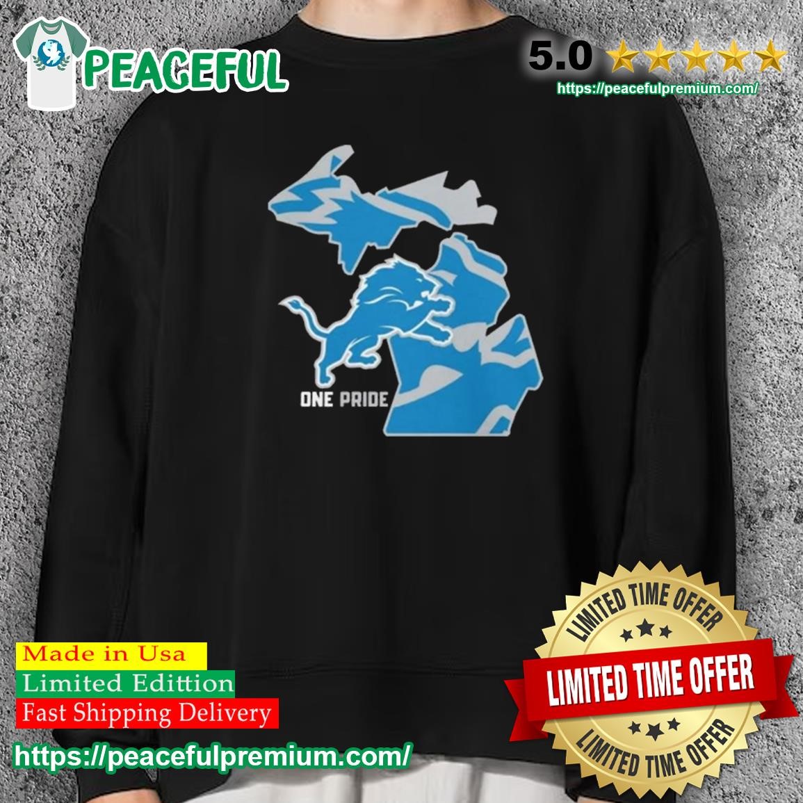 Detroit lions apparel one pride detroit lions gear vintage detroit lions  shirt, hoodie, sweater, long sleeve and tank top