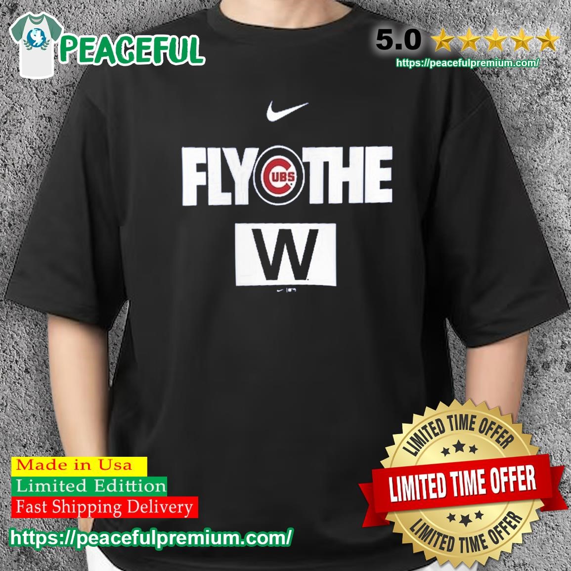 Nike Chicago Cubs fly the W shirt