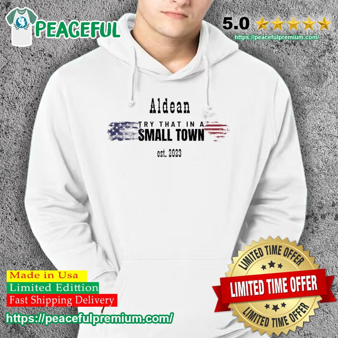 Try That In A Small Town, Team Aldean est 2023 Shirt hoodie.jpg