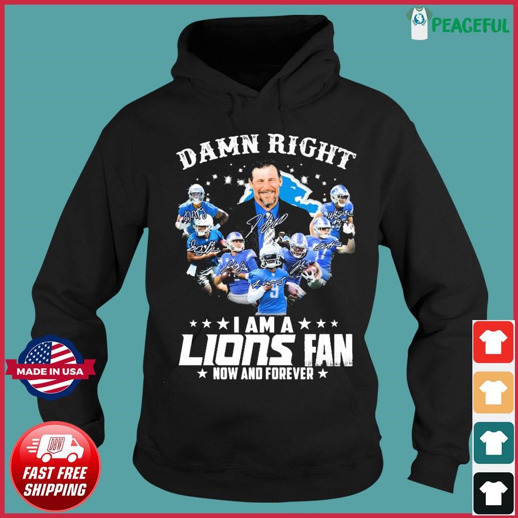 Im Detroit Lions Fan Unisex T-Shirt, hoodie, sweater and long sleeve