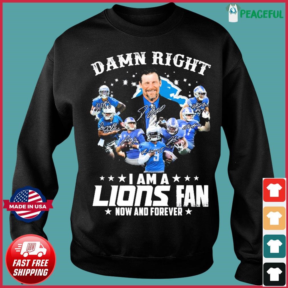 NEW Detroit Lions Funny Shirt If Being A Detroit Fan Was Easy Adult 2X