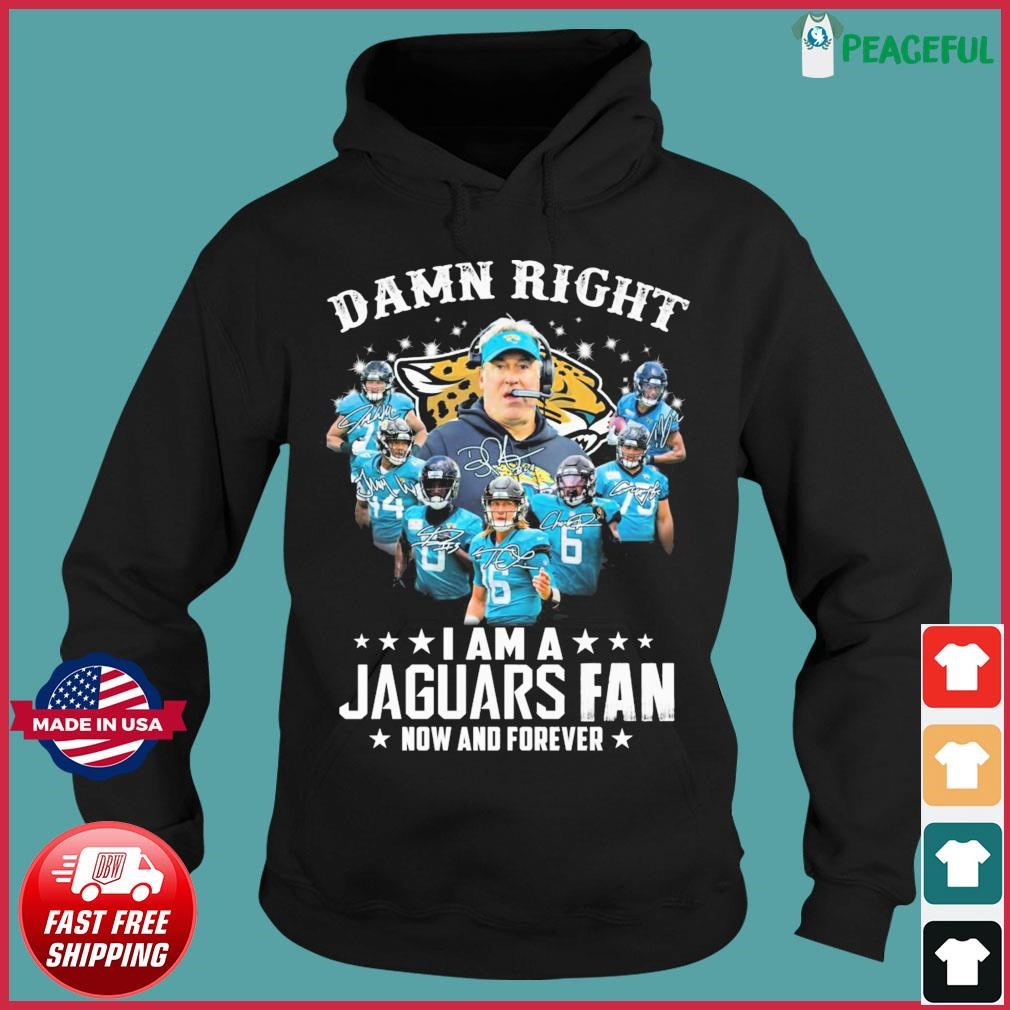 Im Jacksonville Jaguars Fan Unisex T-Shirt, hoodie, sweater and long sleeve