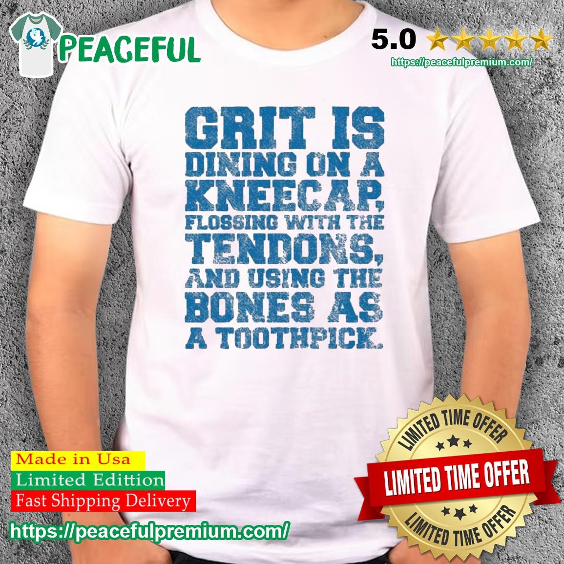 Official detroit Lions Football Grit T-Shirts, hoodie, tank top