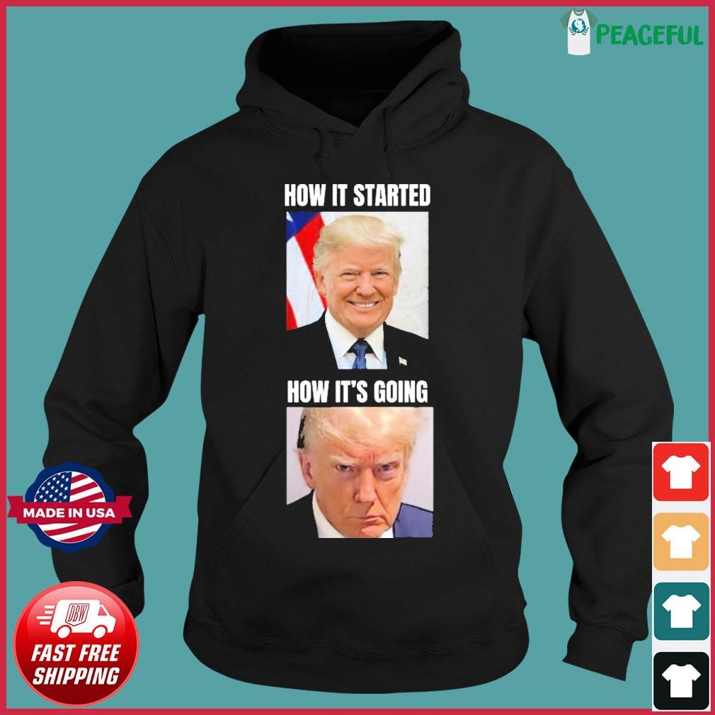 How It Started How It’s Going Donald Trump Mugshot Hoodie.jpg