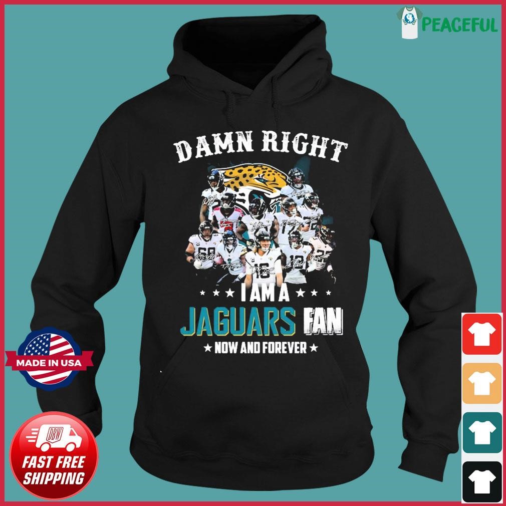 Im Jacksonville Jaguars Fan Unisex T-Shirt, hoodie, sweater and long sleeve