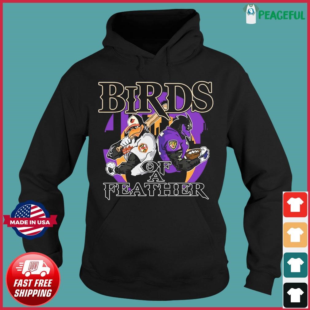 Birds of a feather Baltimore Ravens and Baltimore Orioles shirt, hoodie,  sweater, long sleeve and tank top