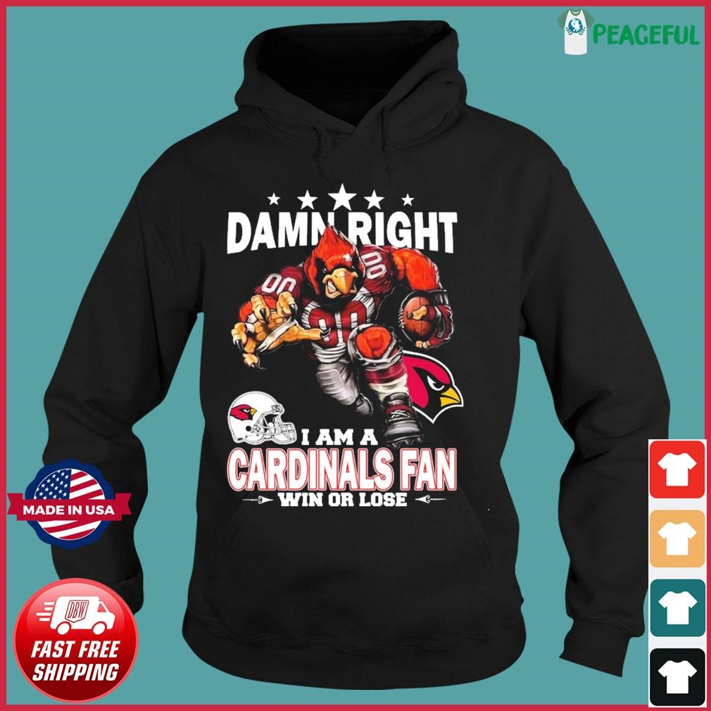 Mario The Arizona Cardinals shirt, hoodie, sweater, long sleeve