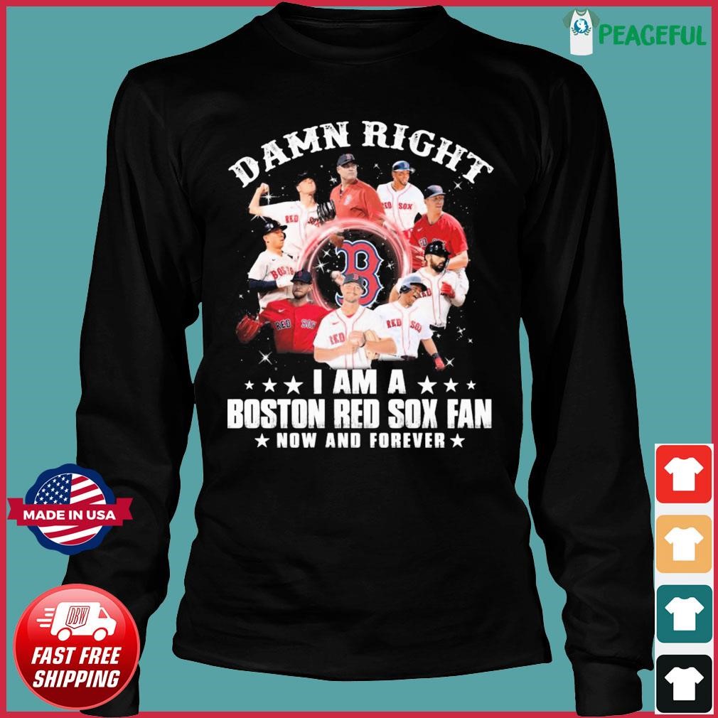 Red Sox Damage Done Tee shirt, hoodie, sweater, long sleeve and tank top