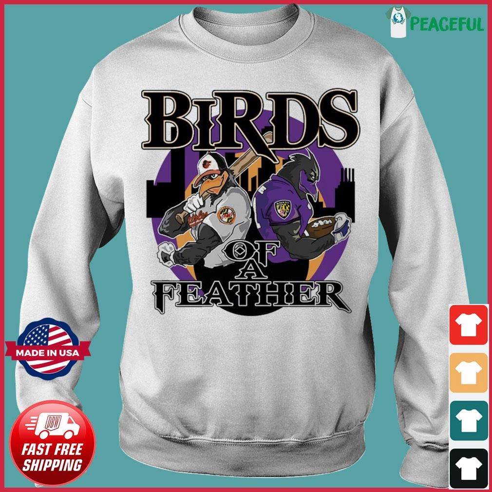 Baltimore Ravens and Baltimore Orioles Bad Birds of Baltimore cartoon  shirt, hoodie, sweater, long sleeve and tank top