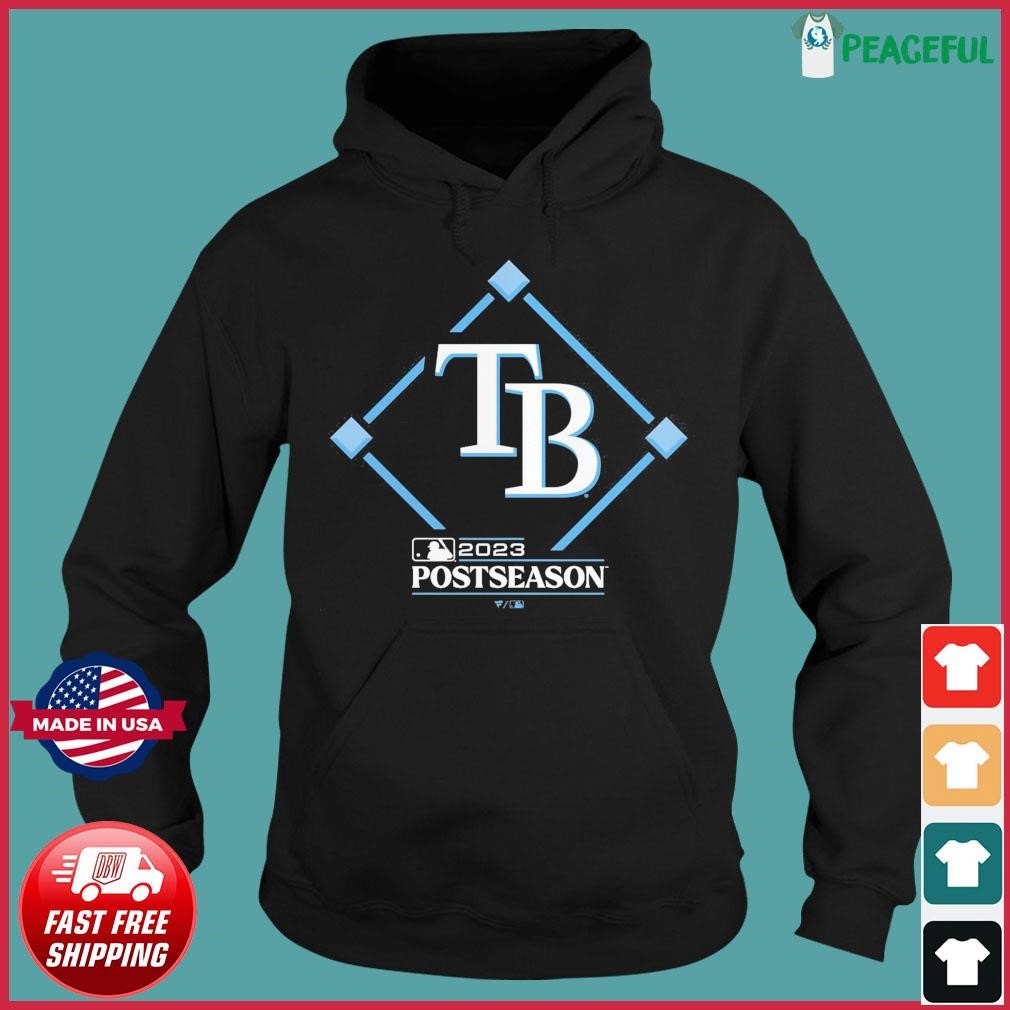 Major League Baseball Tampa Bay Rays retro logo T-shirt, hoodie