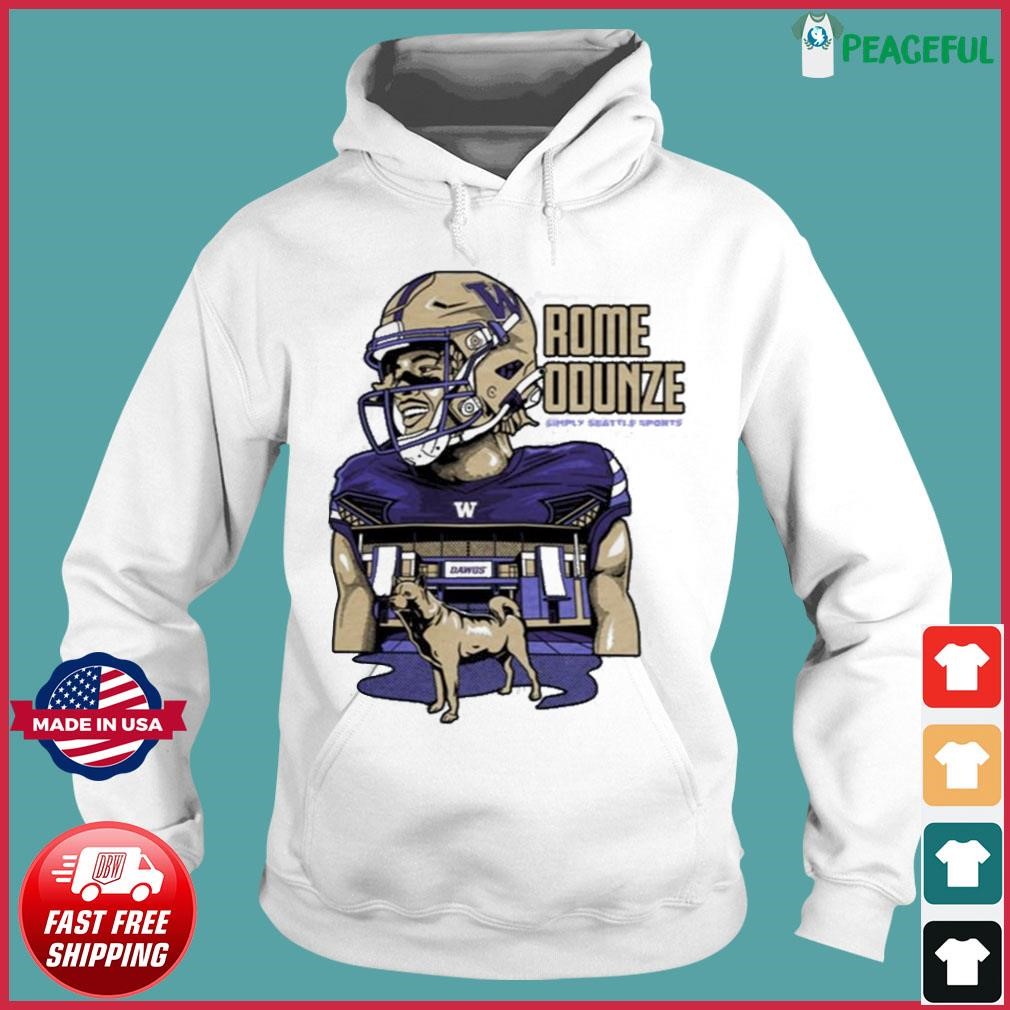 Washington Football Helmet American Football Shirt, hoodie