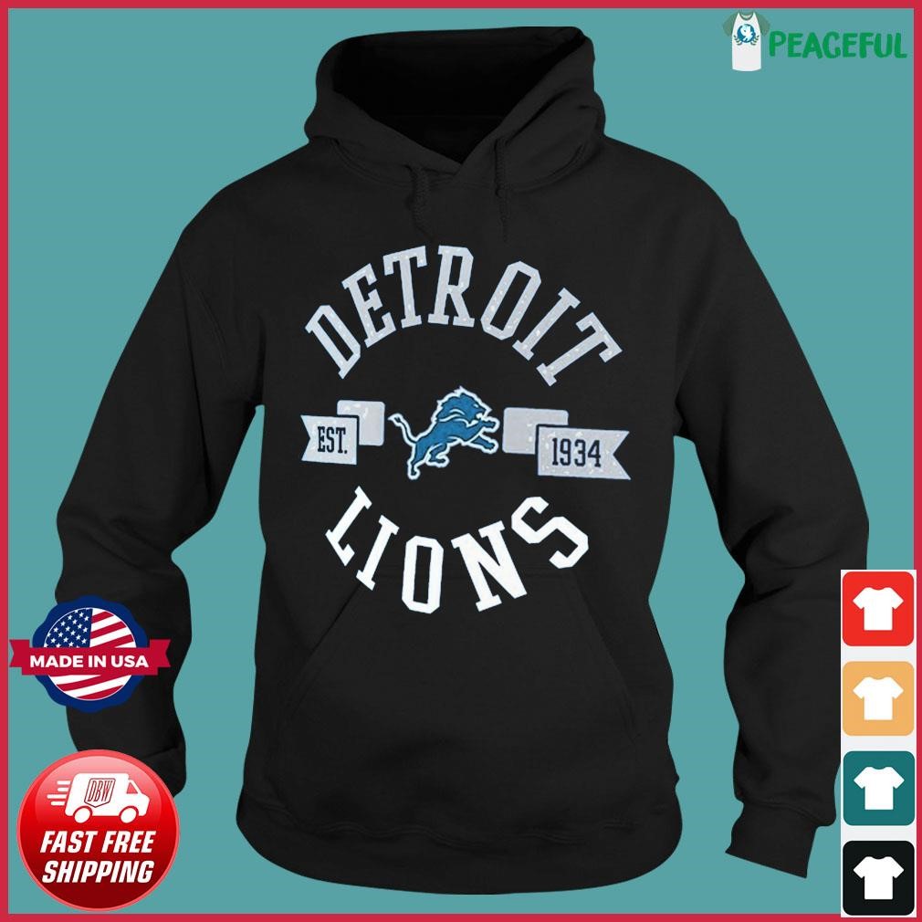 Detroit Lions G-III 4Her by Carl Banks Women's City Graphic Team V