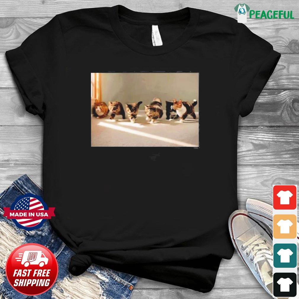 Gay Sex Cats Shirt, hoodie, sweater, long sleeve and tank top