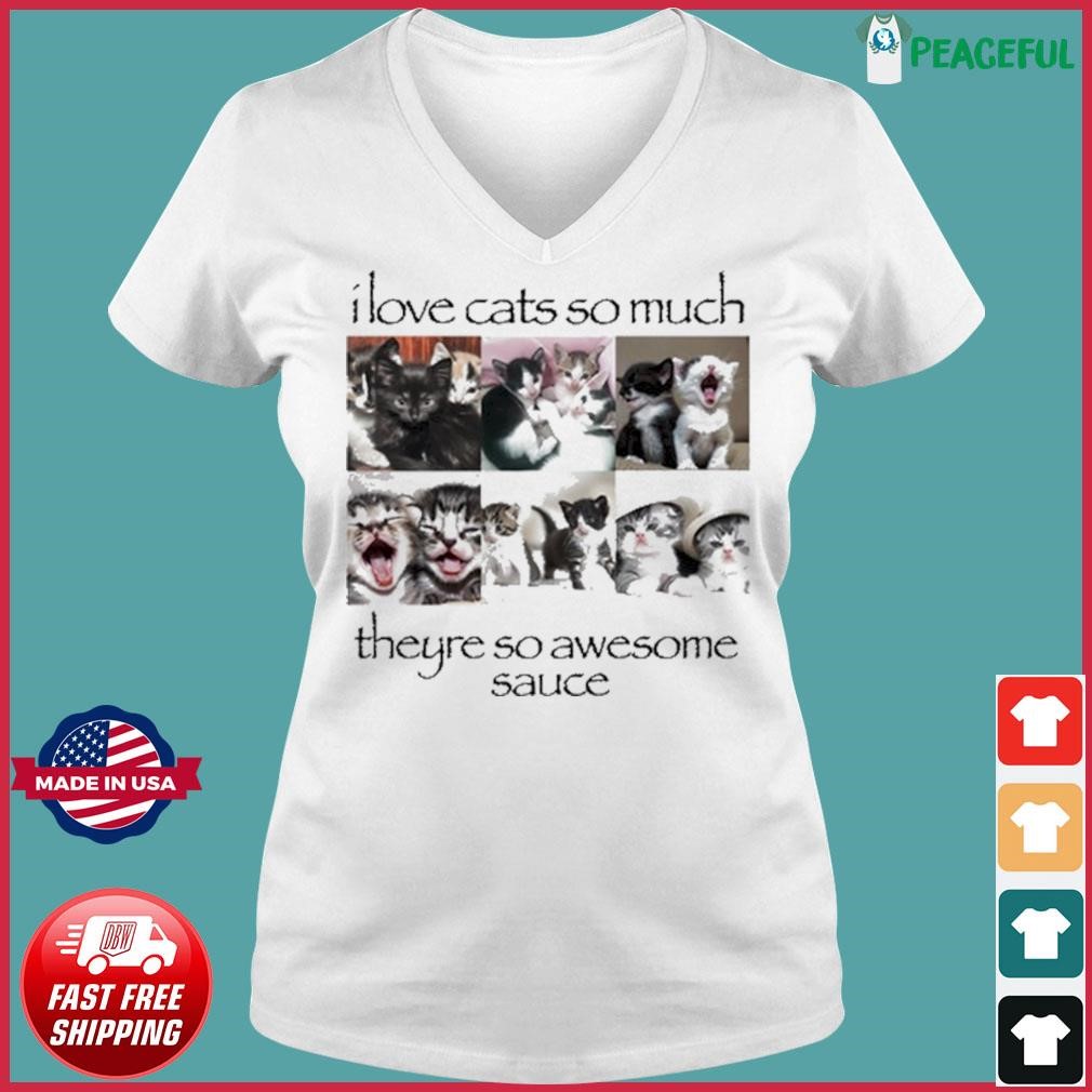 I Love Cats So Much Theyre So Awesome Sauce Shirt Ladies V-neck Tee.jpg